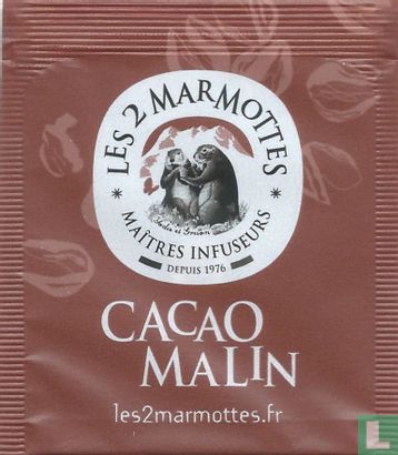 Cacao Malin - Image 1