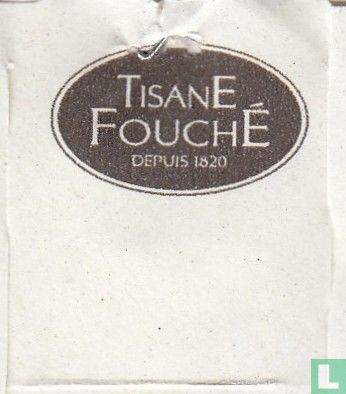 TisanE FouchÉ    - Image 3