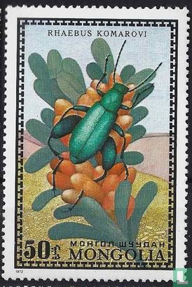 Beetles