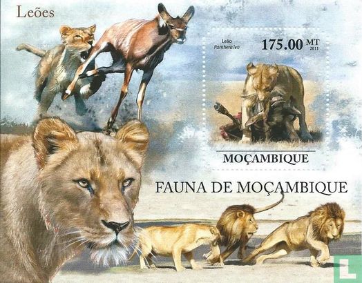 The fauna of Mozambique