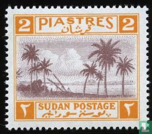 Palmiers sur le Nil