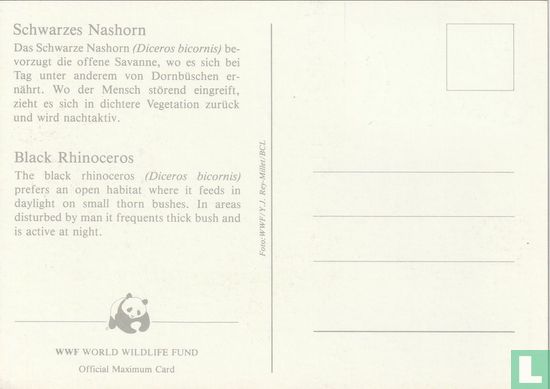 Neushoorn - Afbeelding 2