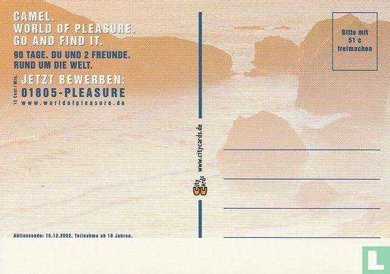 Camel "World Of Pleasure" - Bild 2