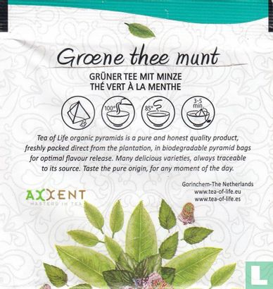 Green tea mint - Bild 2