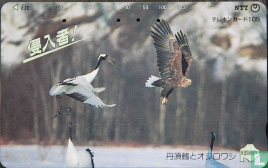crane       Kushiro - Image 1