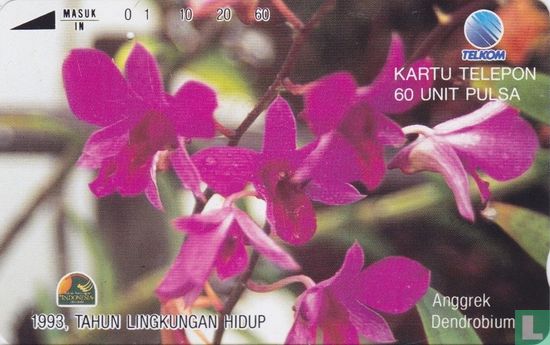 Anggrek Dendrobium - Image 1