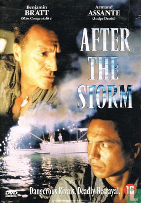 After the Storm - Image 1