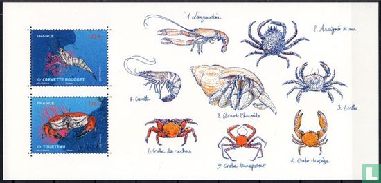 Shellfish and crustaceans - Image 1
