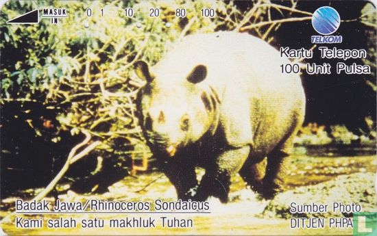 Badak Jawa / Rhinoceros Sondaieus - Bild 1