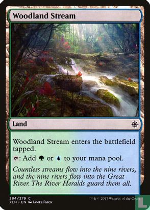 Woodland Stream - Afbeelding 1