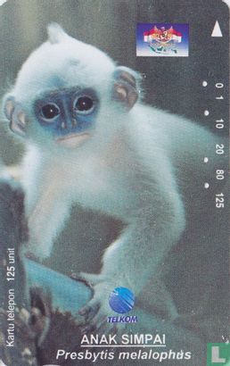 Anak Simpai - Image 1