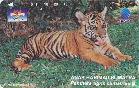 Anak Harimau Sumatra - Bild 1
