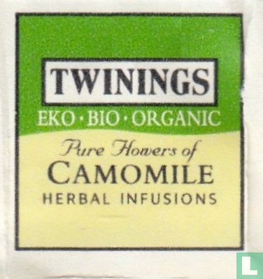 Pure Flowers of Camomile  - Image 3