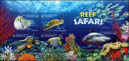 Reef Safari
