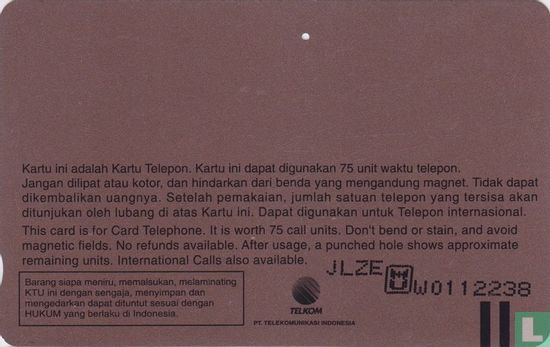 Indonesia Air Show '96 - Bild 2