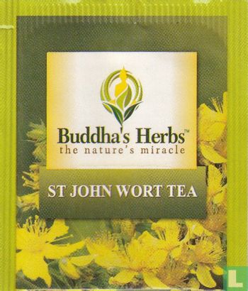 St John Wort Tea - Image 1