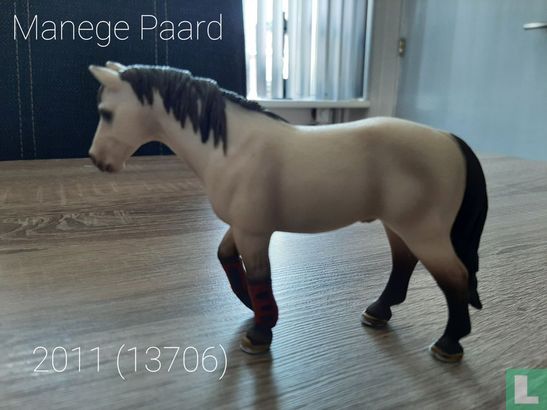 Reitschule Pferd - Bild 1