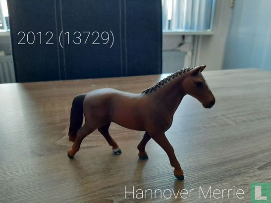 Hannover Stute - Bild 1