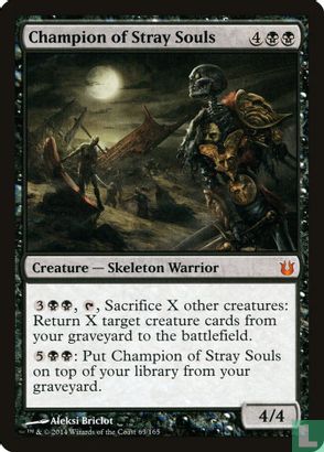 Champion of Stray Souls - Image 1