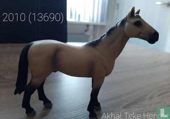 Akhal-Teke stallion - Image 1