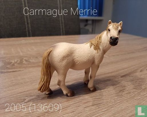 Camarque Merrie - Afbeelding 1