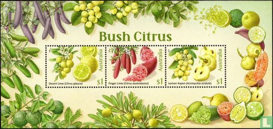 Bush Citrus