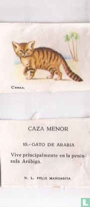 10 Gato de Arabia