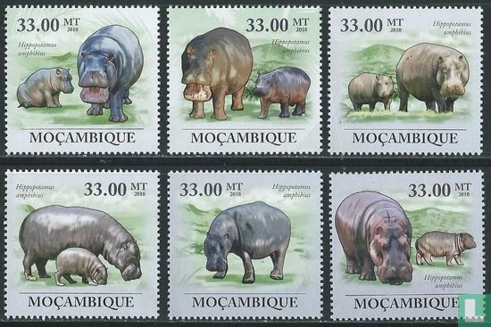 Protection de l'environnement - Hippopotames