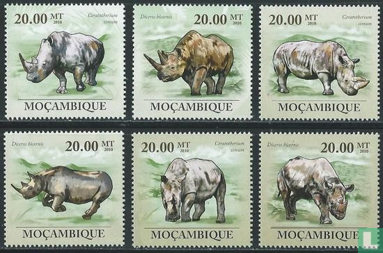 Environmental protection - Rhinos