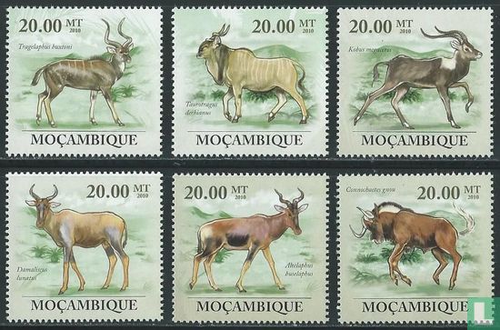 Protection de l'environnement - Antilopes et gazellesProtection de l'environnement - Antilopes