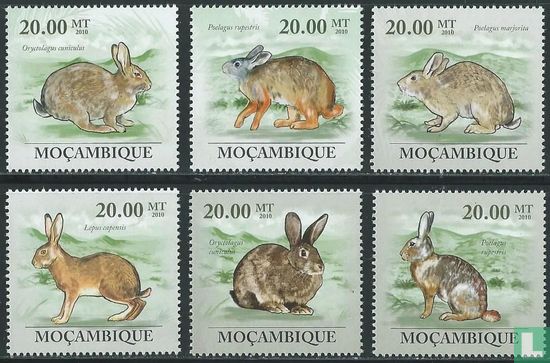 Environmental protection - Hares and rabbits