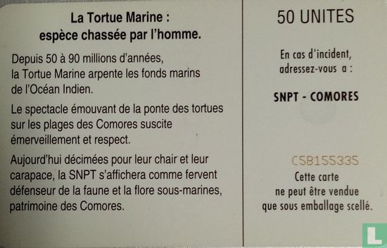La tortue Marine - Image 2