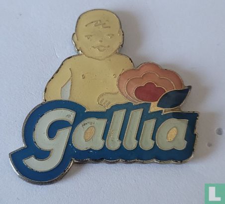 Gallia (groot)