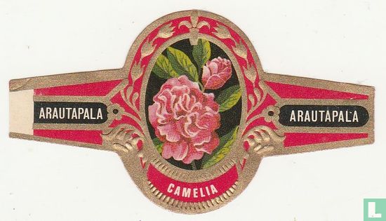Camellia - Image 1
