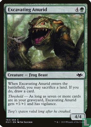 Excavating Anurid - Afbeelding 1