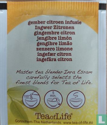ginger lemon infusion - Bild 2