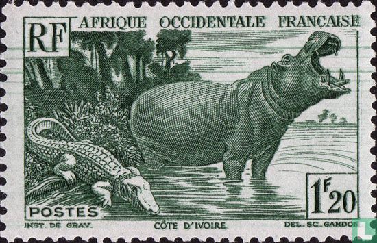 Hippopotame et crocodile