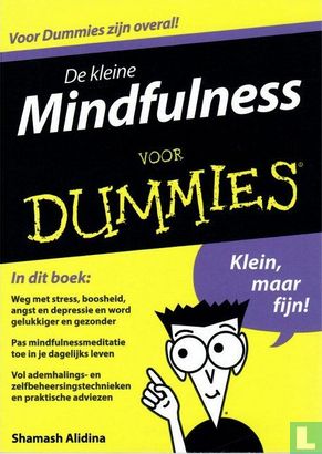 De kleine Mindfulness voor dummies - Afbeelding 1