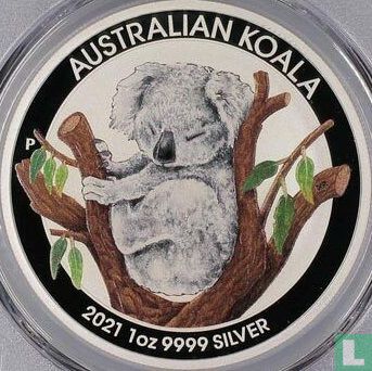 Australië 1 dollar 2021 (gekleurd) "Koala" - Afbeelding 1