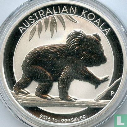 Australië 1 dollar 2016 (kleurloos) "Koala" - Afbeelding 1