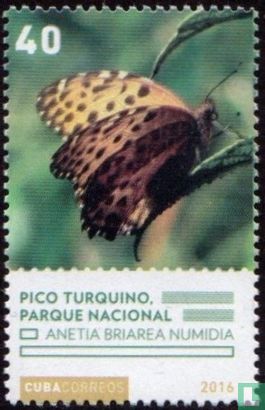 Nationalpark Pico-Turquino