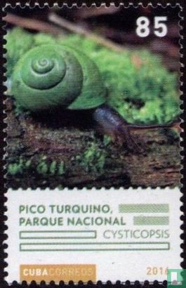 Nationaal park Pico-Turquino