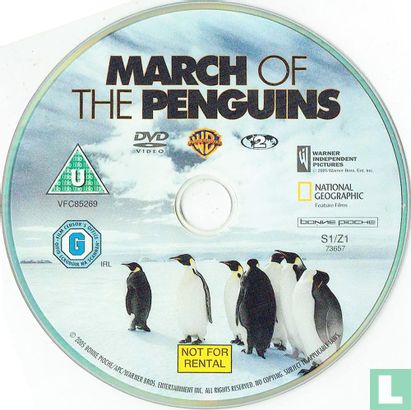 March of the Penguins - Bild 3