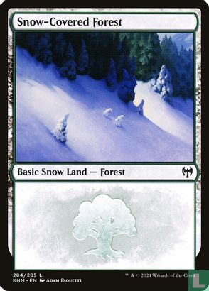 Snow-Covered Forest - Afbeelding 1
