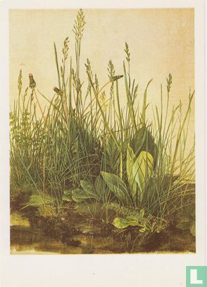 Das groß Rasenstück-Tall grass-La grande gazon, 1503 - Afbeelding 1