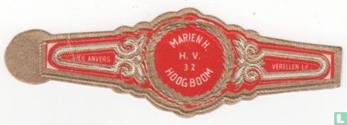 Marien H. H.V. 32 Hoogboom - Image 1