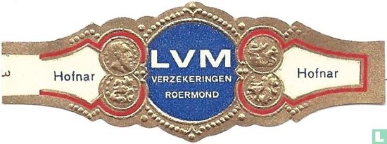 LVM verzekeringen Roermond - Hofnar - Hofnar - Image 1