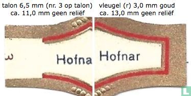 LVM verzekeringen Roermond - Hofnar - Hofnar - Image 3