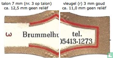 700 jaar Denekamp - Brummelhuis - tel. 05413 1273 - Afbeelding 3