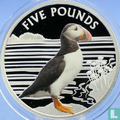 Alderney 5 pounds 2019 (PROOF) "Puffin" - Afbeelding 2